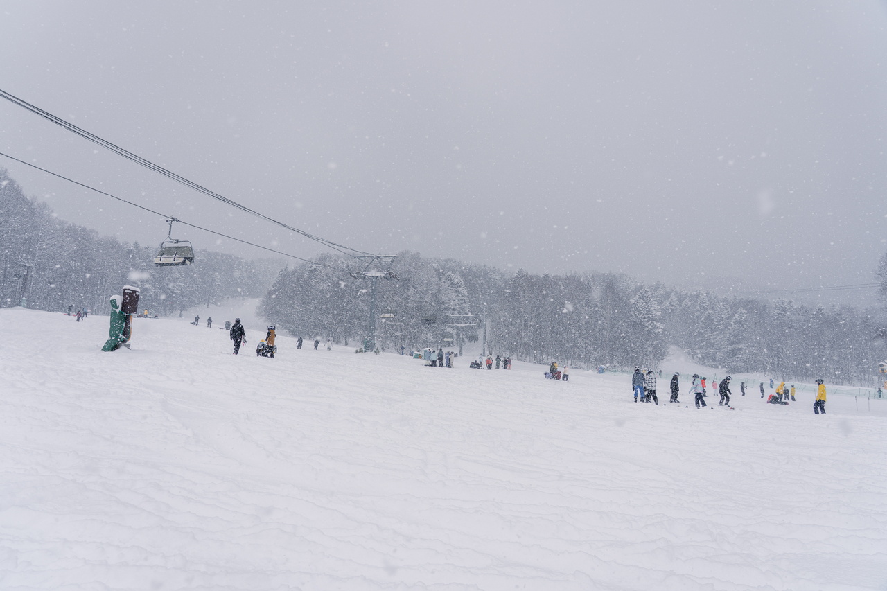 富良野スキー場｜数字以上に良い雪たっぷり！いよいよ『bonchi powder』本領発揮の季節到来です！